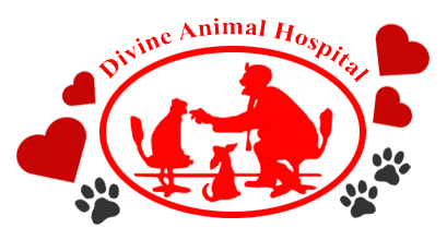 Divine Animal Hospital